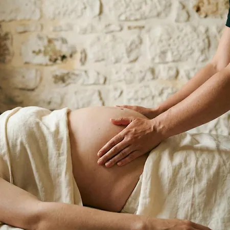 Maison Balmelle - De Caractere 住宿加早餐酒店